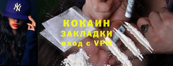 шишки Аркадак
