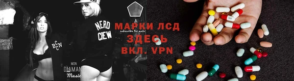 ешки Новый Уренгой