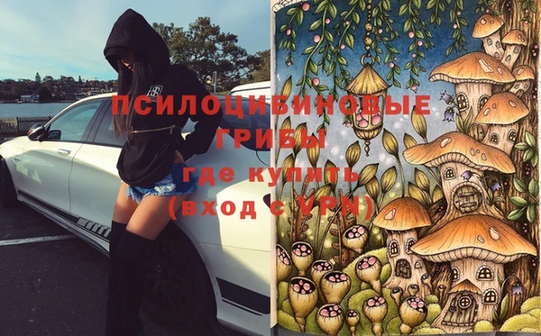 амф Армянск